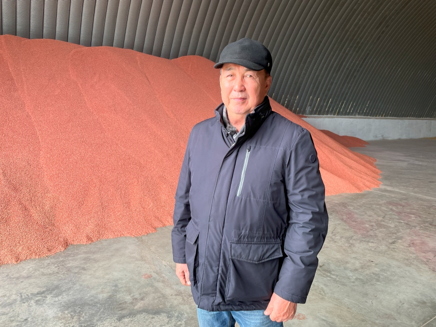 По лезвию ножа: фермеры Казахстана готовятся к посевной